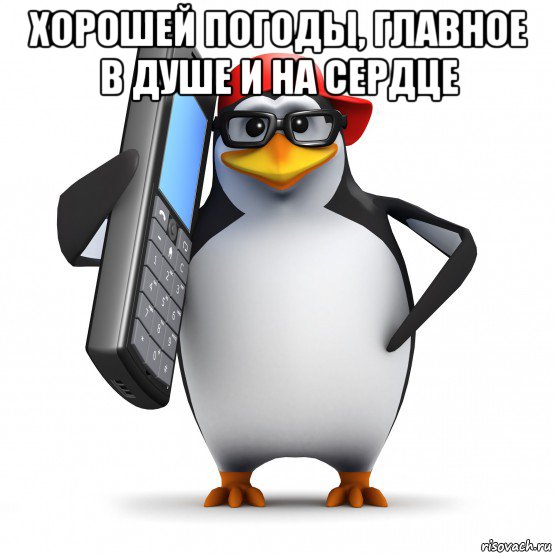 хорошей погоды, главное в душе и на сердце , Мем   Пингвин звонит