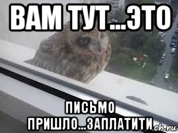 вам тут...это письмо пришло...заплатити