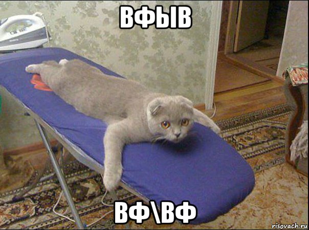 вфыв вф\вф