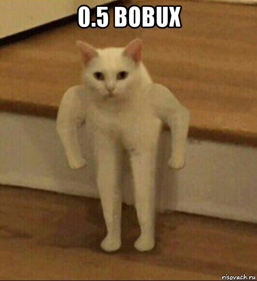 0.5 bobux , Мем  Полукот