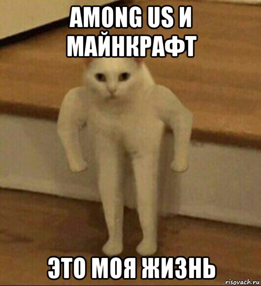 among us и майнкрафт это моя жизнь, Мем  Полукот