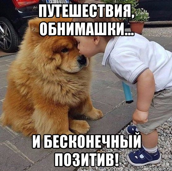 путешествия, обнимашки... и бесконечный позитив!, Мем Путешествия обнимашки