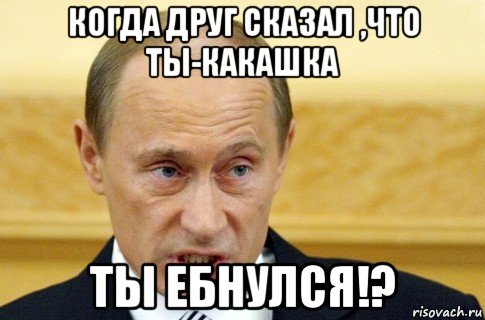 когда друг сказал ,что ты-какашка ты ебнулся!?, Мем путин