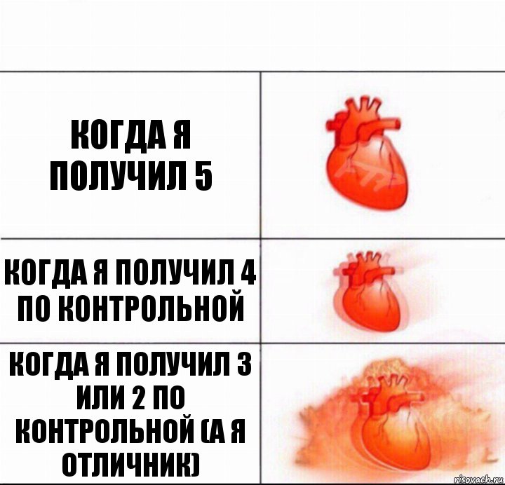 Когда я получил 5 Когда я получил 4 по контрольной Когда я получил 3 или 2 по контрольной (а я отличник)