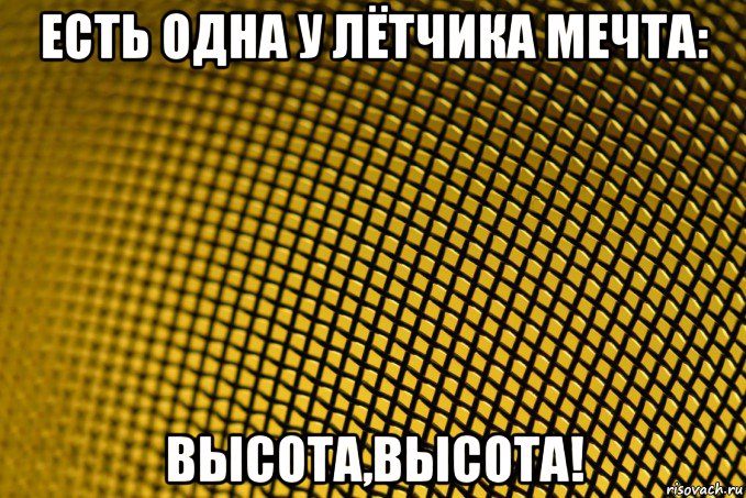 есть одна у лётчика мечта: высота,высота!, Мем Решето микрофона