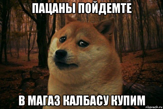 пацаны пойдемте в магаз калбасу купим, Мем SAD DOGE