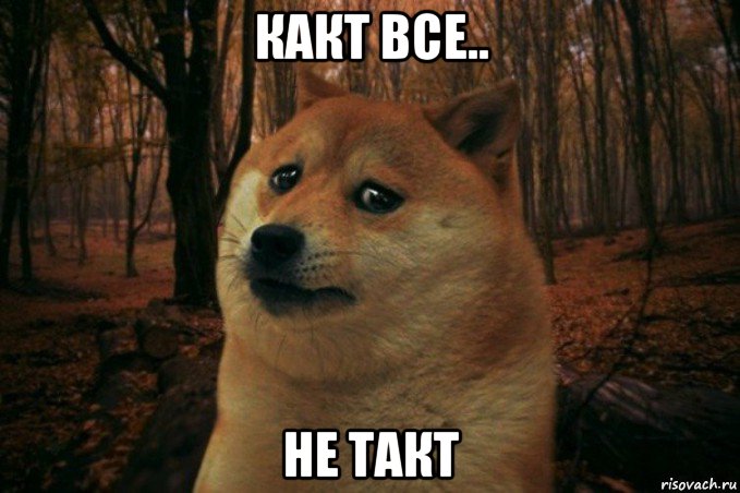 какт все.. не такт, Мем SAD DOGE