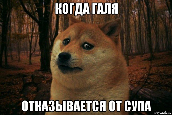 когда галя отказывается от супа, Мем SAD DOGE