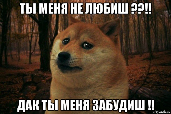 ты меня не любиш ??!! дак ты меня забудиш !!, Мем SAD DOGE