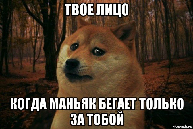 твое лицо когда маньяк бегает только за тобой, Мем SAD DOGE