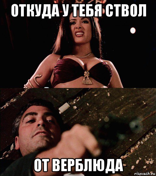 откуда у тебя ствол от верблюда, Мем Salma Hayek