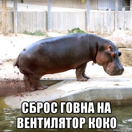  сброс говна на вентилятор коко, Мем Сброс говна на вентилятор
