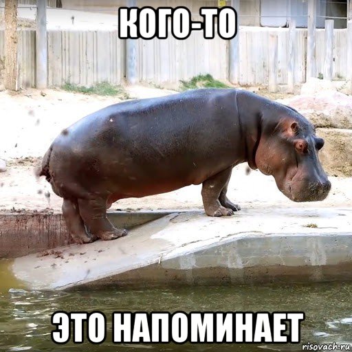 кого-то это напоминает, Мем Сброс говна на вентилятор