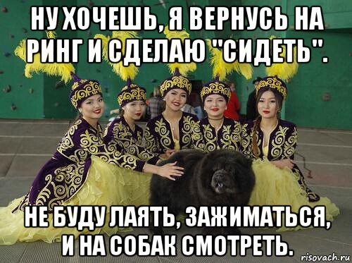 ну хочешь, я вернусь на ринг и сделаю "сидеть". не буду лаять, зажиматься, и на собак смотреть., Мем Сегодня выставка собак Модный показ