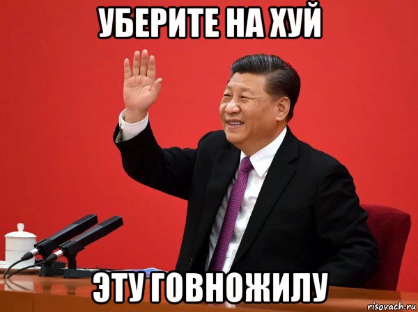 уберите на хуй эту говножилу, Мем Си дзинпинь