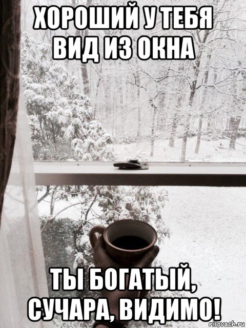 хороший у тебя вид из окна ты богатый, сучара, видимо!, Мем Снег