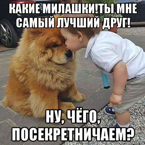 какие милашки!ты мне самый лучший друг! ну, чёго, посекретничаем?, Мем Собака друг человека