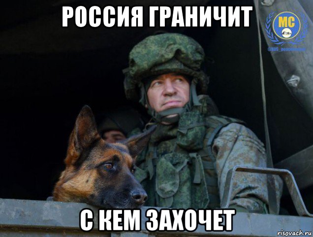 россия граничит с кем захочет, Мем Собака-миротворец