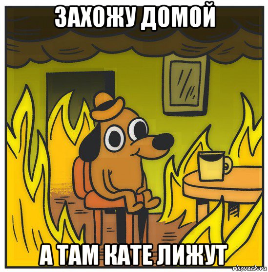 захожу домой а там кате лижут