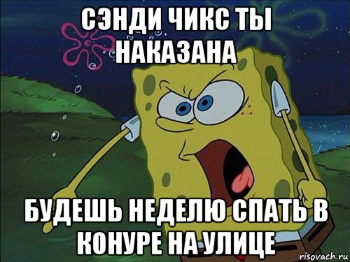 сэнди чикс ты наказана будешь неделю спать в конуре на улице, Мем Спанч боб