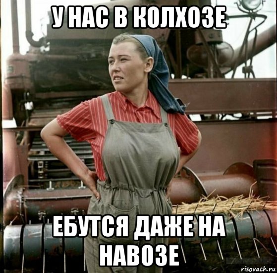 у нас в колхозе ебутся даже на навозе, Мем СССР