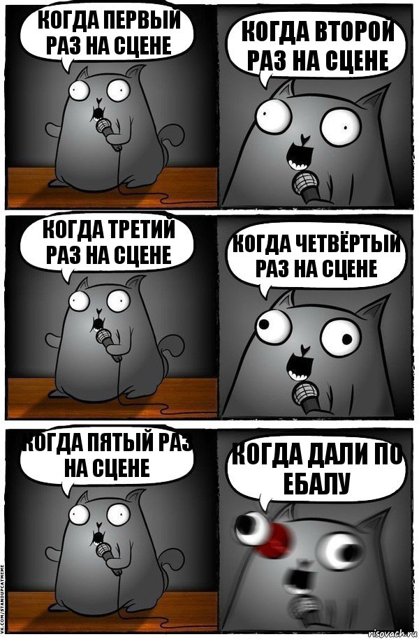 КОГДА ПЕРВЫЙ РАЗ НА СЦЕНЕ КОГДА ВТОРОЙ РАЗ НА СЦЕНЕ КОГДА ТРЕТИЙ РАЗ НА СЦЕНЕ КОГДА ЧЕТВЁРТЫЙ РАЗ НА СЦЕНЕ КОГДА ПЯТЫЙ РАЗ НА СЦЕНЕ КОГДА ДАЛИ ПО ЕБАЛУ, Комикс  Стендап-кот