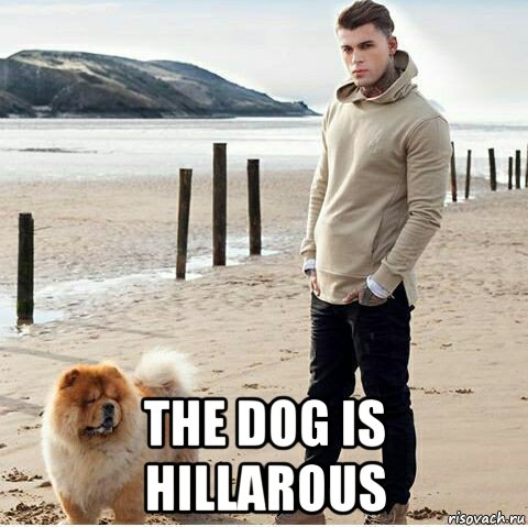  the dog is hillarous, Мем Стивен Джеймс Хендри англ Stephen James Hendry