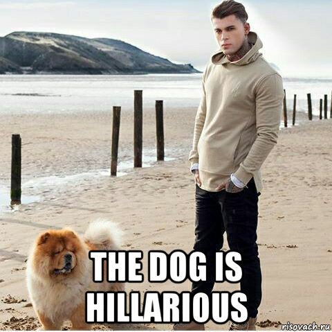  the dog is hillarious, Мем Стивен Джеймс Хендри англ Stephen James Hendry