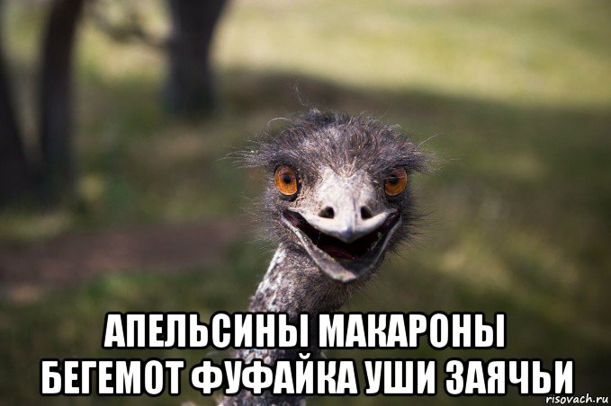  апельсины макароны бегемот фуфайка уши заячьи