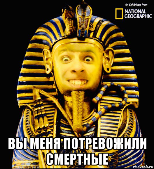 вы меня потревожили смертные, Мем СВЧ - Синдром высокого человека