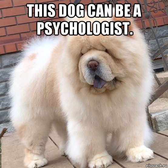 this dog can be a psychologist. , Мем This dog can be a psychologist
