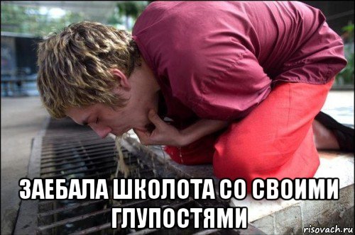  заебала школота со своими глупостями, Мем Тошнот