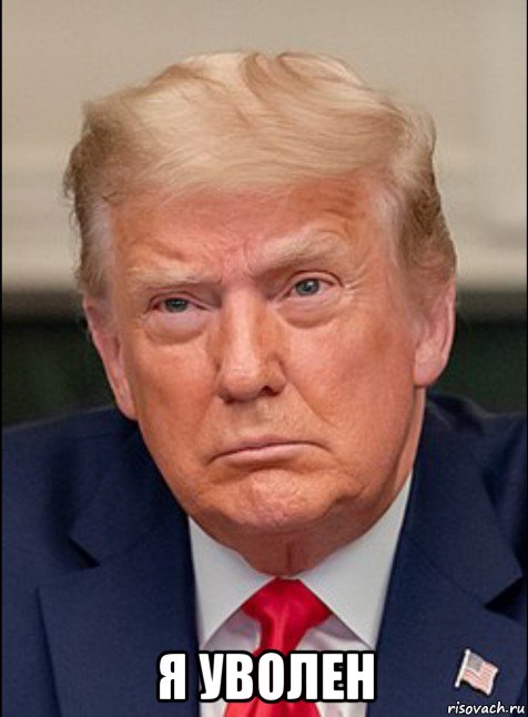  я уволен, Мем Трамп думает