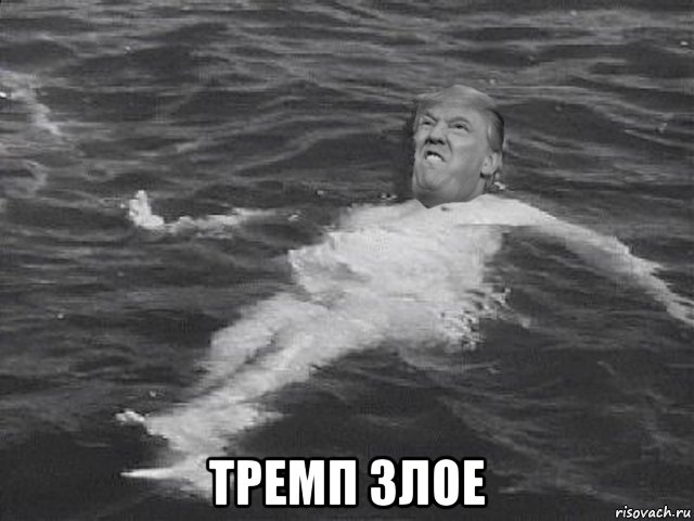  тремп злое, Мем Трамп злой плавает