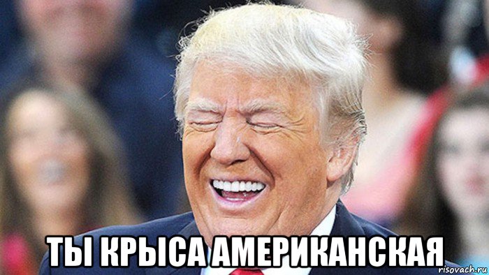  ты крыса американская