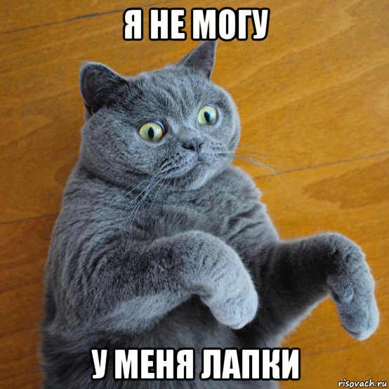 я не могу у меня лапки