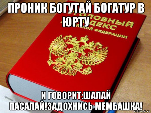 проник богутай богатур в юрту и говорит:шалай пасалай!задохнись мембашка!, Мем Уголовный кодекс РФ
