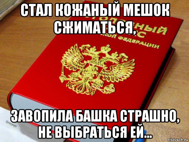 стал кожаный мешок сжиматься, завопила башка страшно, не выбраться ей..., Мем Уголовный кодекс РФ
