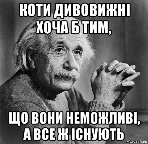 коти дивовижні хоча б тим, що вони неможливі, а все ж існують, Мем Умная фраза эйнштейна