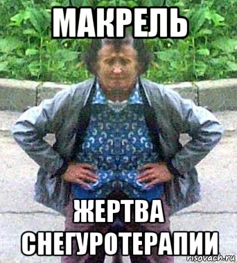 макрель жертва снегуротерапии, Мем Урино-процентщица