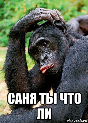  саня ты что ли, Мем В
