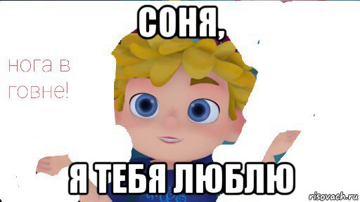 соня, я тебя люблю, Мем Вася сидоров