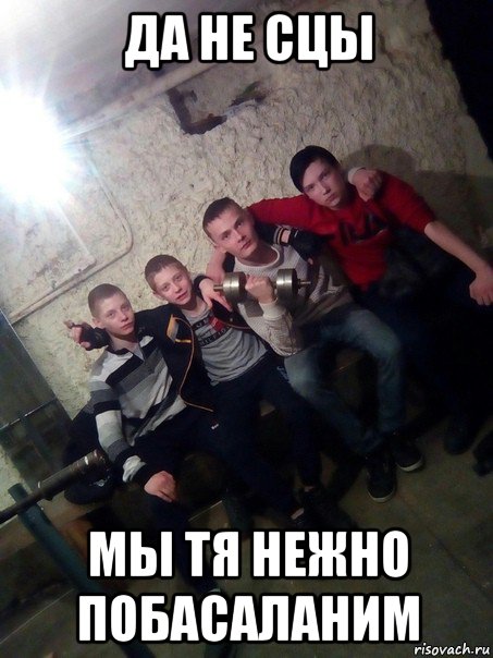 да не сцы мы тя нежно побасаланим, Мем Vivian Басалай
