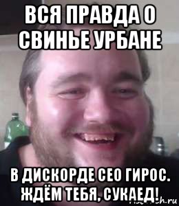 вся правда о свинье урбане в дискорде сео гирос. ждём тебя, сукаед!, Мем Влад Савельев