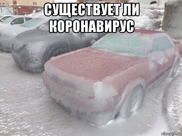 существует ли коронавирус , Мем Владивосток 2020
