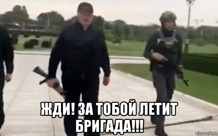  жди! за тобой летит бригада!!!, Мем Выезжаем