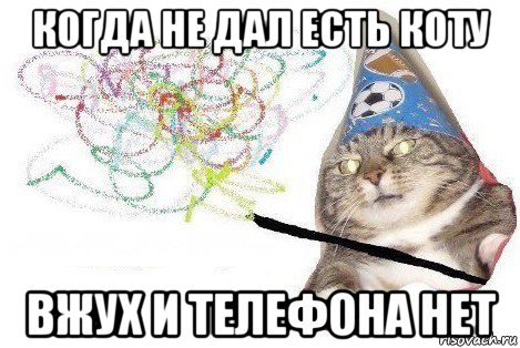 когда не дал есть коту вжух и телефона нет, Мем Вжух мем