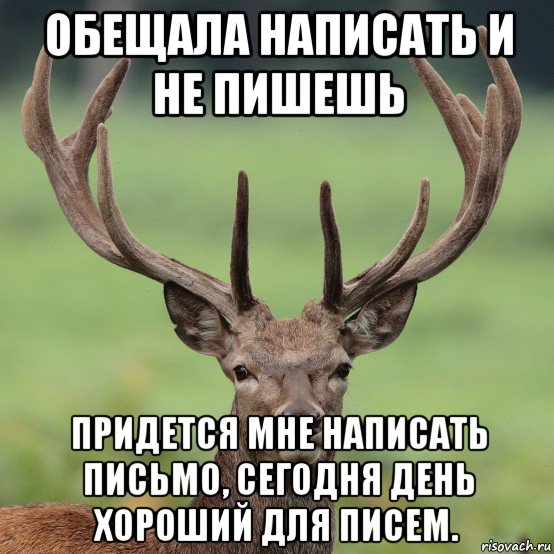 обещала написать и не пишешь придется мне написать письмо, сегодня день хороший для писем.