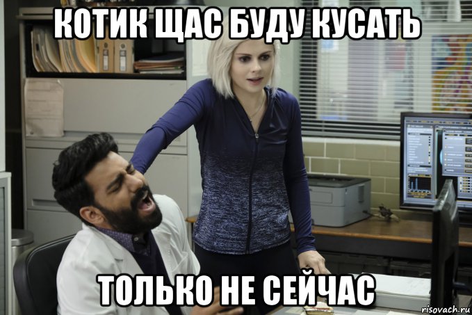 котик щас буду кусать только не сейчас, Мем Я зомби