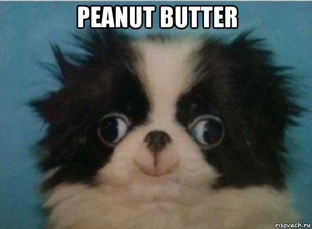 реаnut butter , Мем Японский хин